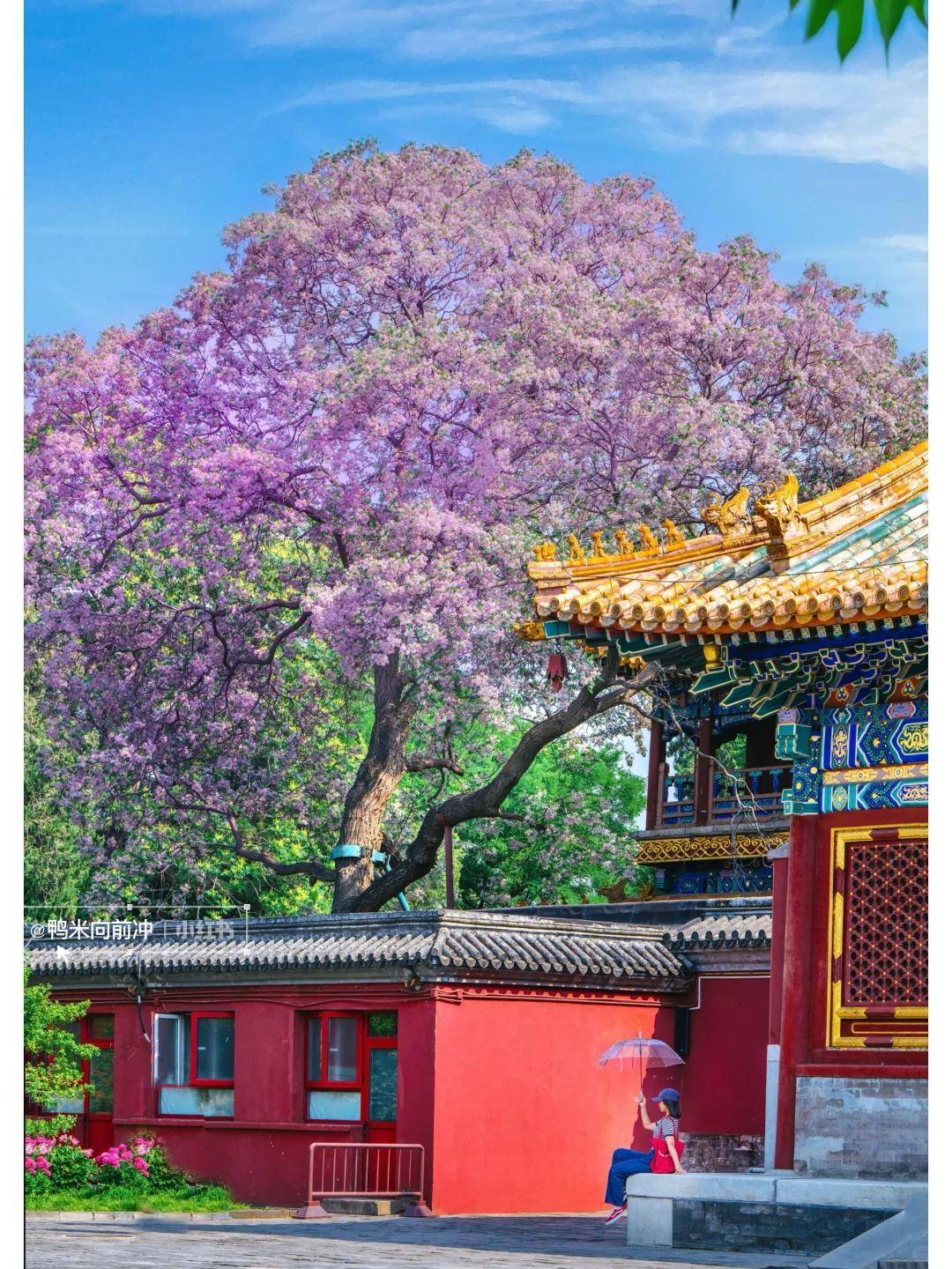 P10大揭秘让咱不花冤枉钱旅行一路开挂开元ky棋牌别再乱选！北京旅行社TO(图3)