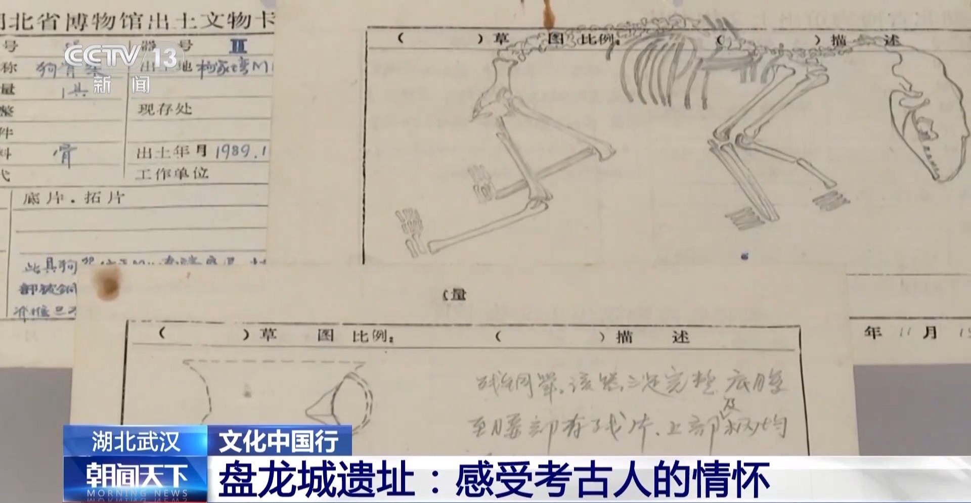 打着电筒来到这里 写下一首“诗”开元棋牌文化中国行丨考古队员晚上(图10) 打着电筒来到这里 写下一首“诗”开元棋牌文化中国行丨考古队员晚上(图10)