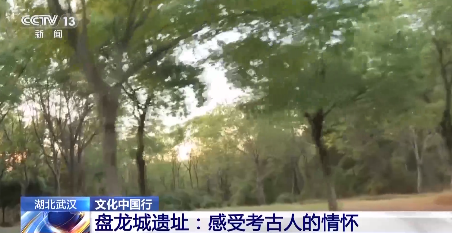 打着电筒来到这里 写下一首“诗”开元棋牌文化中国行丨考古队员晚上(图9) 打着电筒来到这里 写下一首“诗”开元棋牌文化中国行丨考古队员晚上(图9)