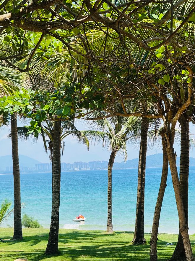 280元经济团6000元奢华游这样选不踩雷开元棋牌试玩2025三亚旅行社红黑榜：1(图2)