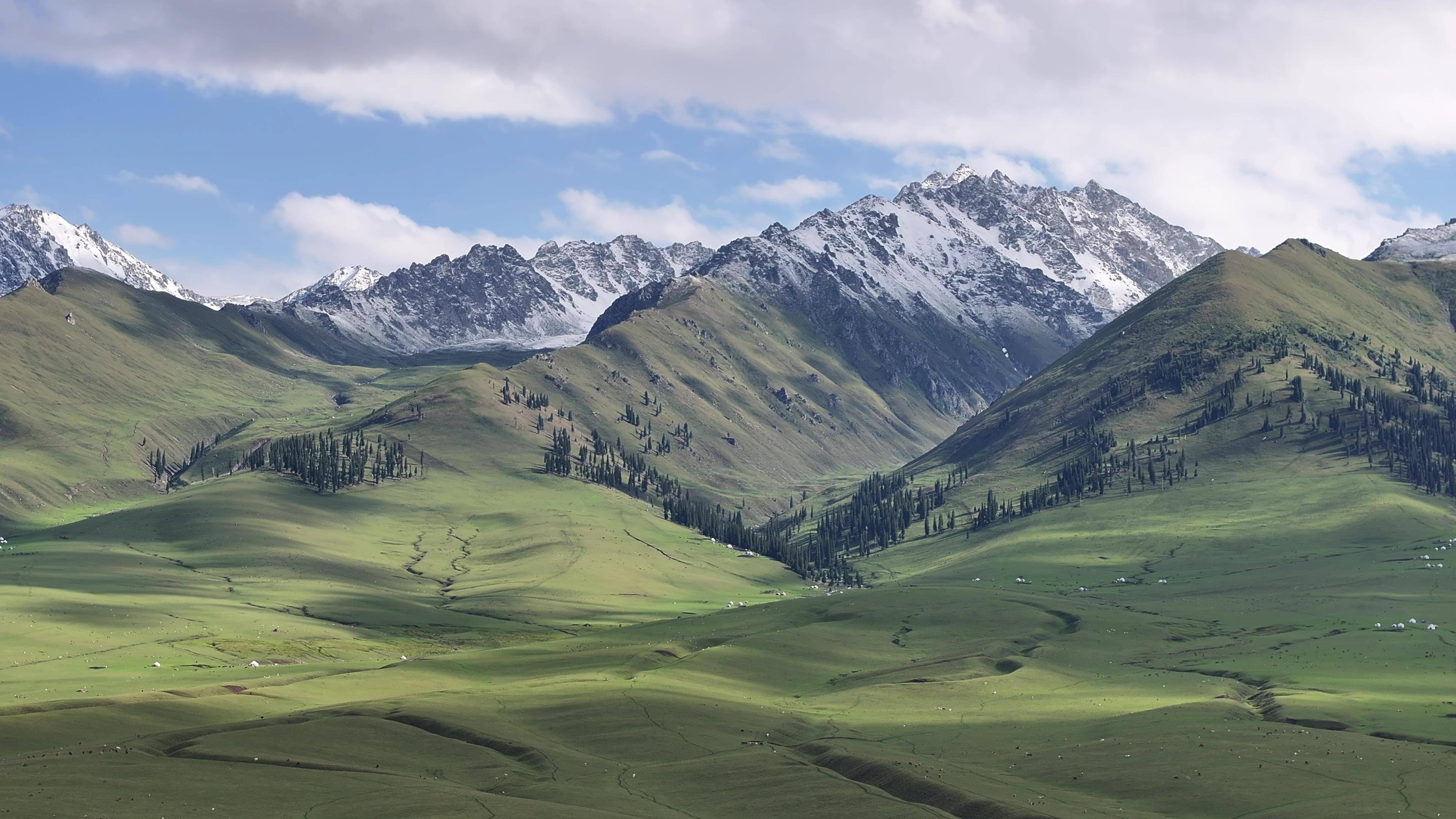 游专列“熊猫专列·成都号”：班期价格新鲜出炉开元棋牌网站2026年成都出发到新疆