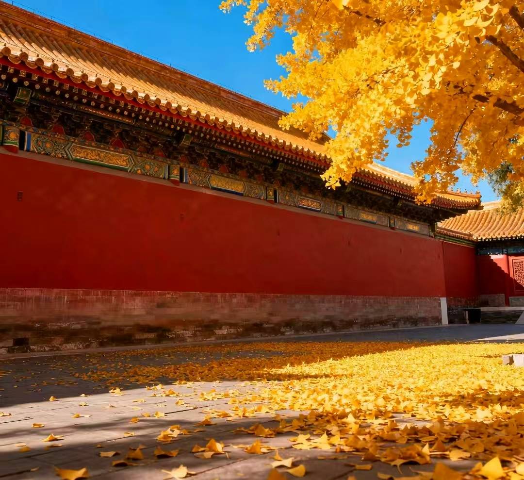 京五日私人订制游嗨翻寒假!开元棋牌app春节带全家北(图3) 京五日私人订制游嗨翻寒假!开元棋牌app春节带全家北(图3)