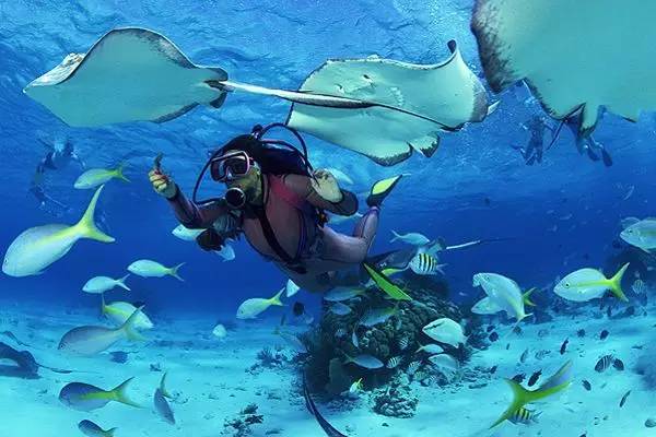 艳遇姐妹们的旅行也很精彩！开元棋牌app邮轮上没有(图14)